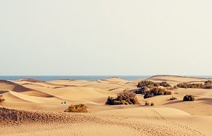 Oferta Gran Canaria Viajes 3.0 Portada