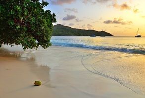 Playa Samaná Viajes 3.0