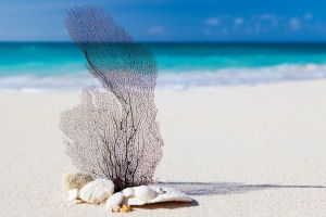 Viajes de Novios Punta Cana